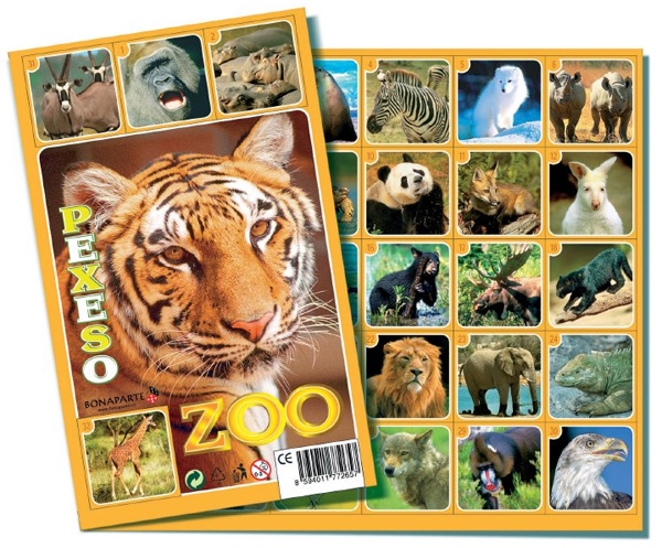 Rappa pexeso ZOO