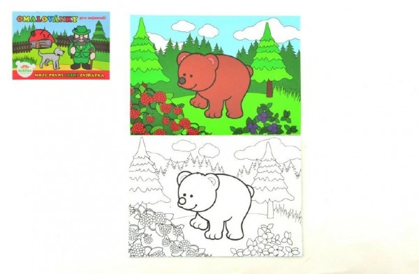 Teddies Omalovánky Moje první zvířátka lesní 21x14,5cm MPLZ