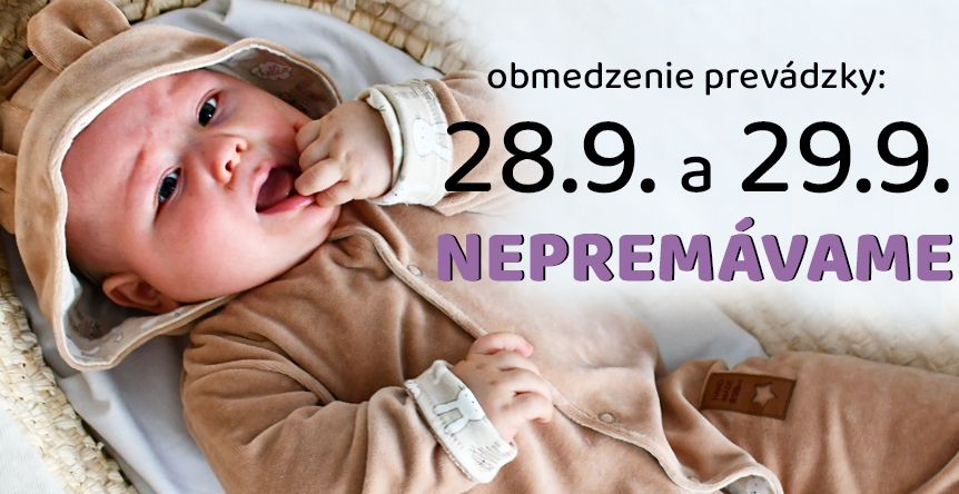 obmedzenie prevádzky
